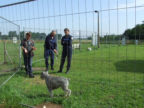 Maître-chien - Agent de sécurité - Formation maitre chien Maître-chien - Agent de sécurité - Formation maitre chien